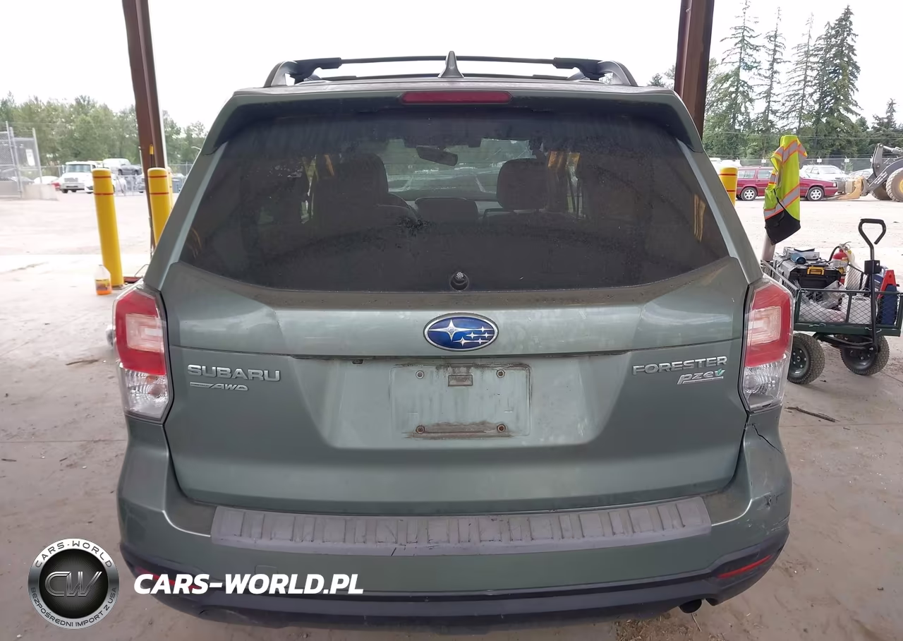 2017 Subaru Forester 2.5I Premium VIN:JF2SJAGC9HH804498 - 15