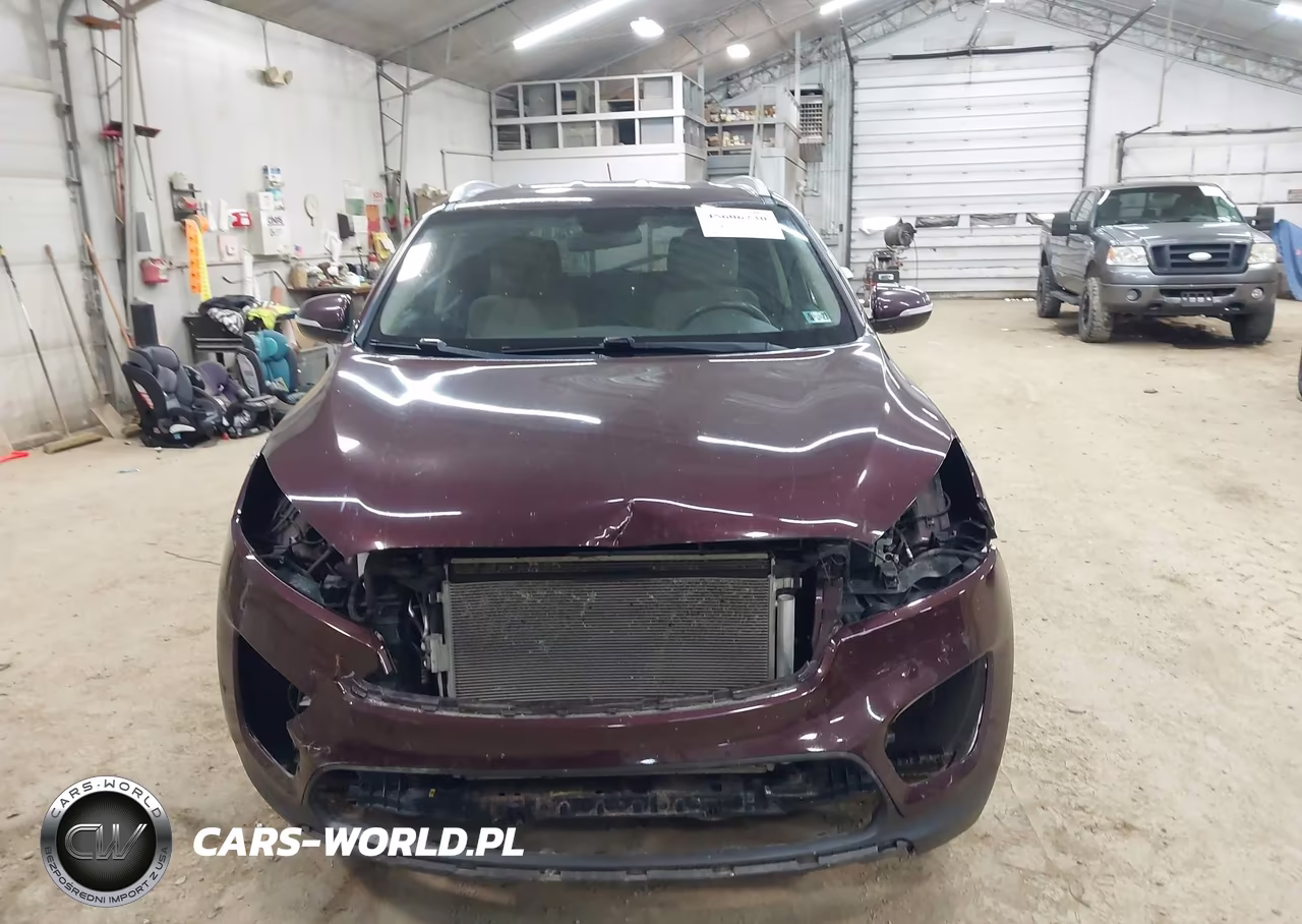 2017 Kia Sorento 3.3L Lx VIN:5XYPGDA50HG324843 - 13