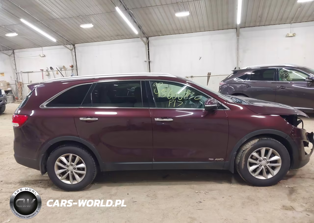 2017 Kia Sorento 3.3L Lx VIN:5XYPGDA50HG324843 - 14