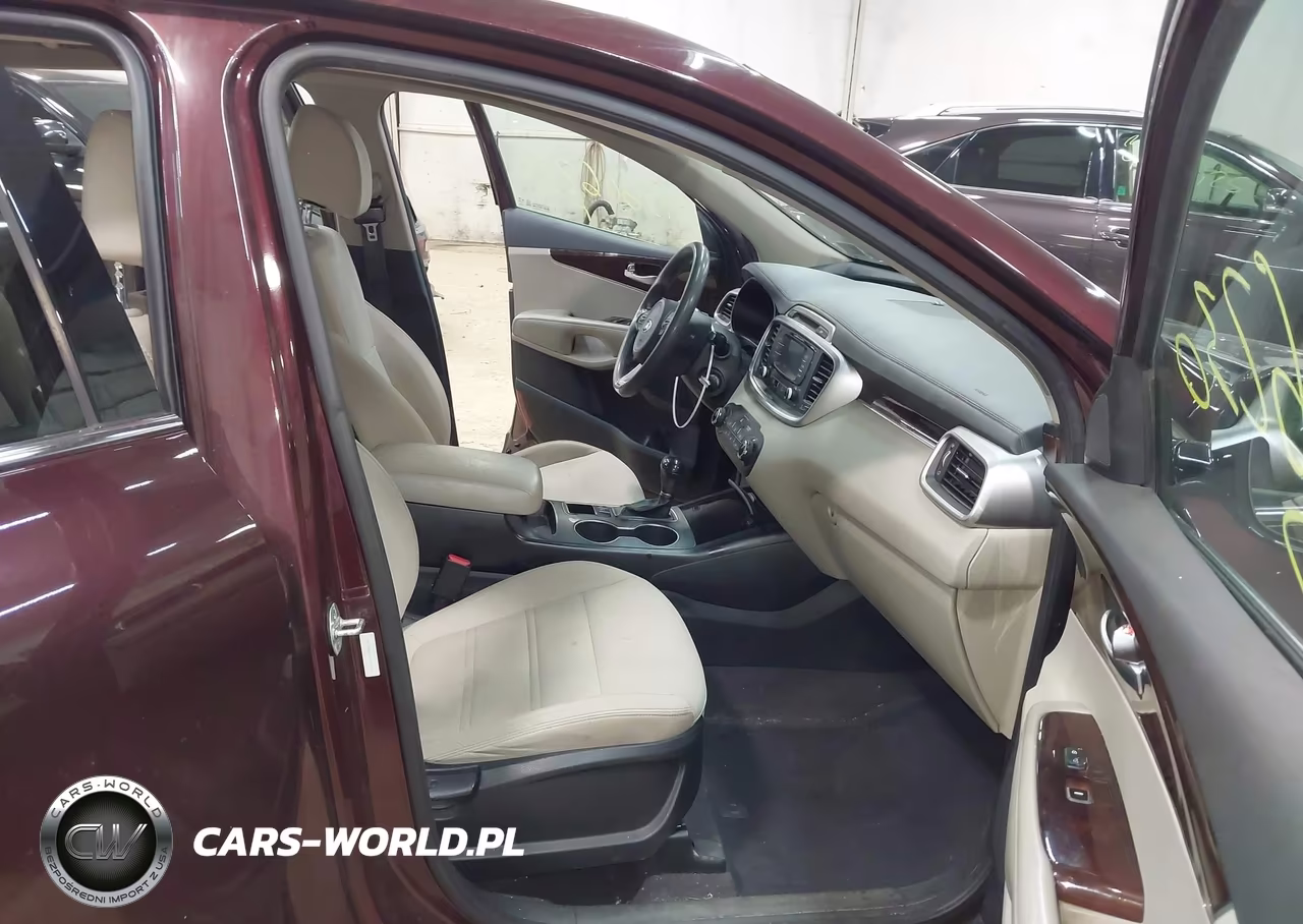 2017 Kia Sorento 3.3L Lx VIN:5XYPGDA50HG324843 - 5