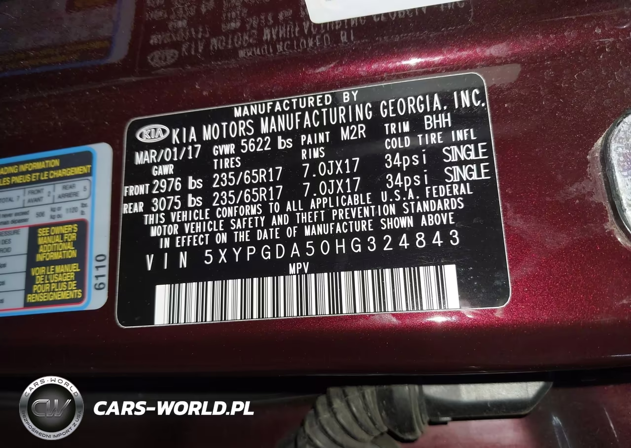 2017 Kia Sorento 3.3L Lx VIN:5XYPGDA50HG324843 - 9