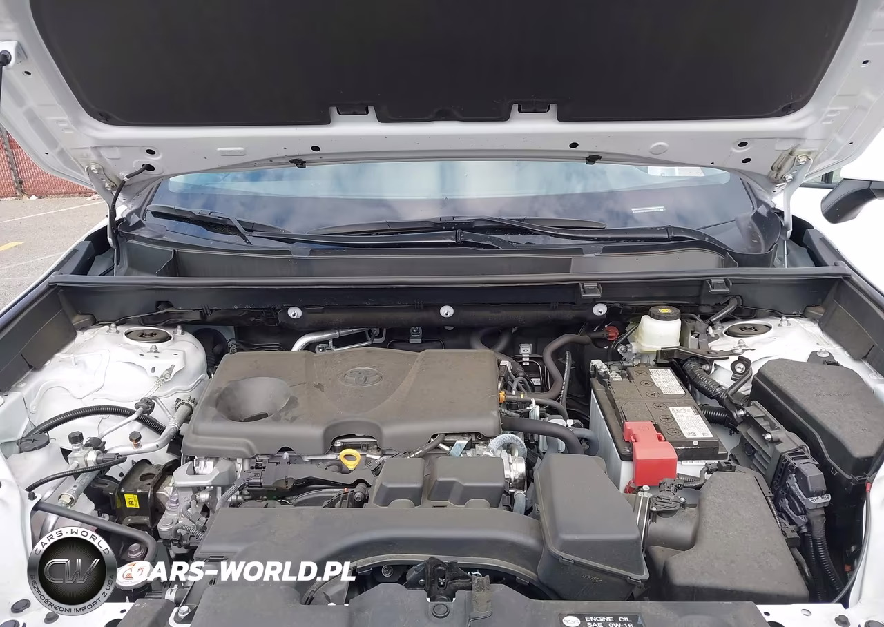 2025 Toyota Rav4 Xle VIN:2T3W1RFV6SW387683 - 10