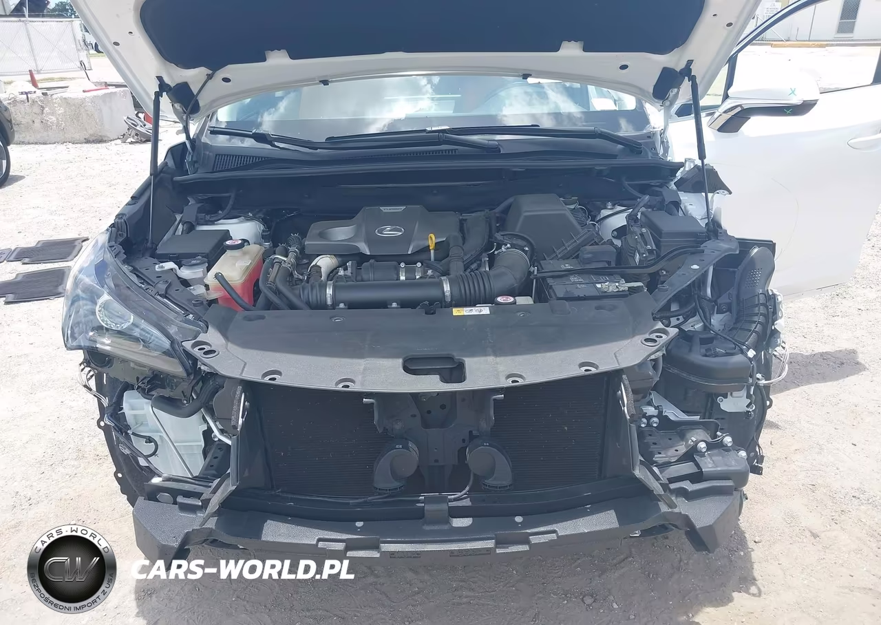 2018 Lexus Nx 300 VIN:JTJYARBZ4J2115025 - 10