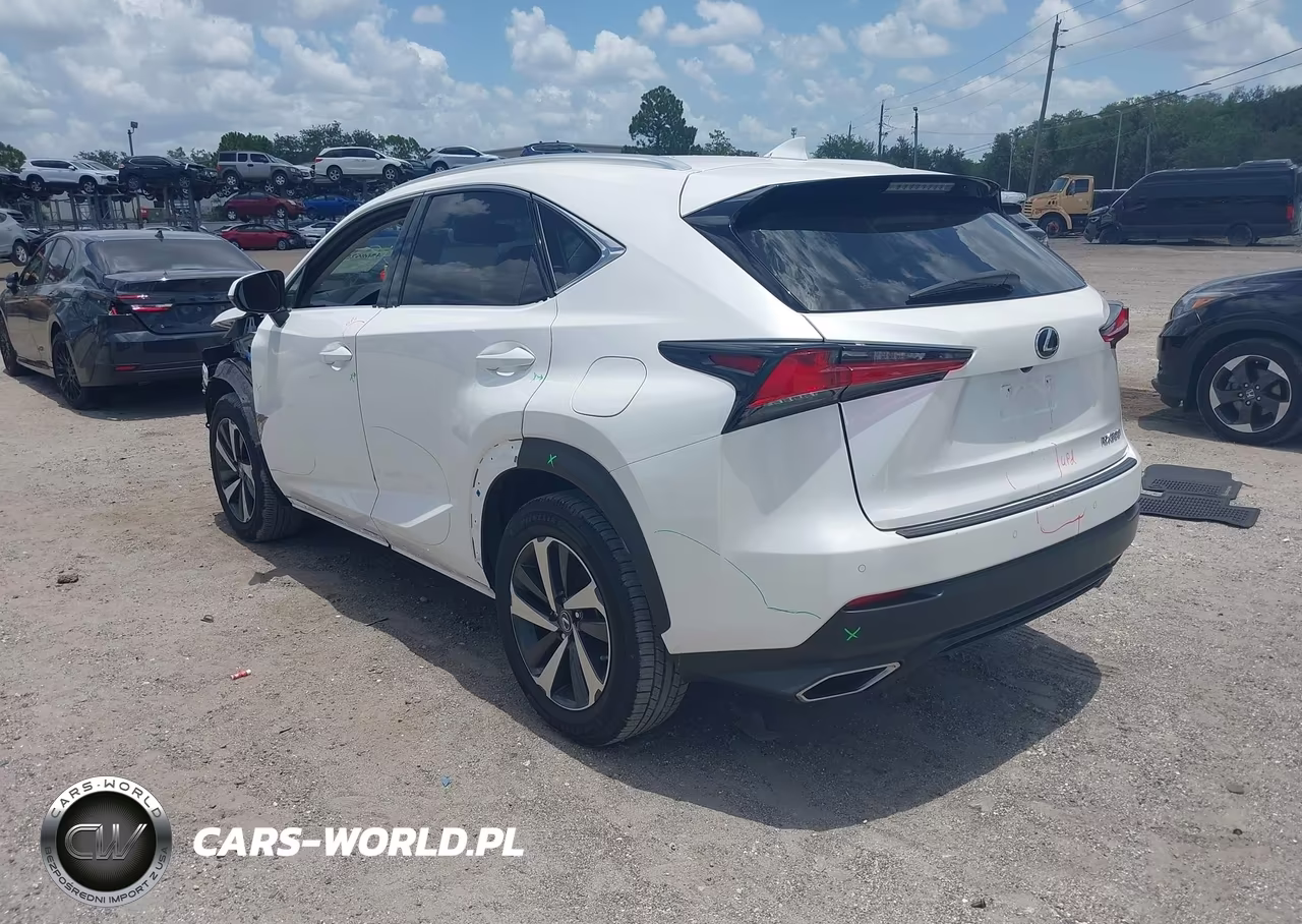 2018 Lexus Nx 300 VIN:JTJYARBZ4J2115025 - 3
