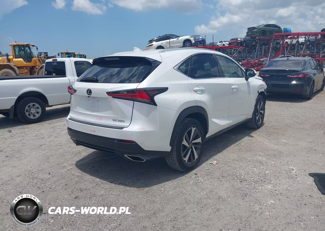 2018 Lexus Nx 300 VIN:JTJYARBZ4J2115025 - 4