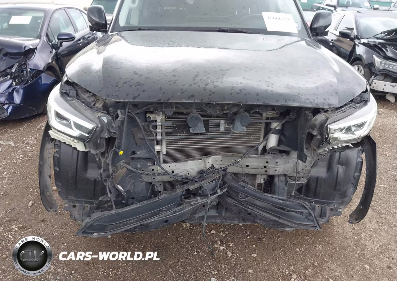 2023 Infiniti Qx80 Luxe VIN:JN8AZ2AF4P9756501 - 18