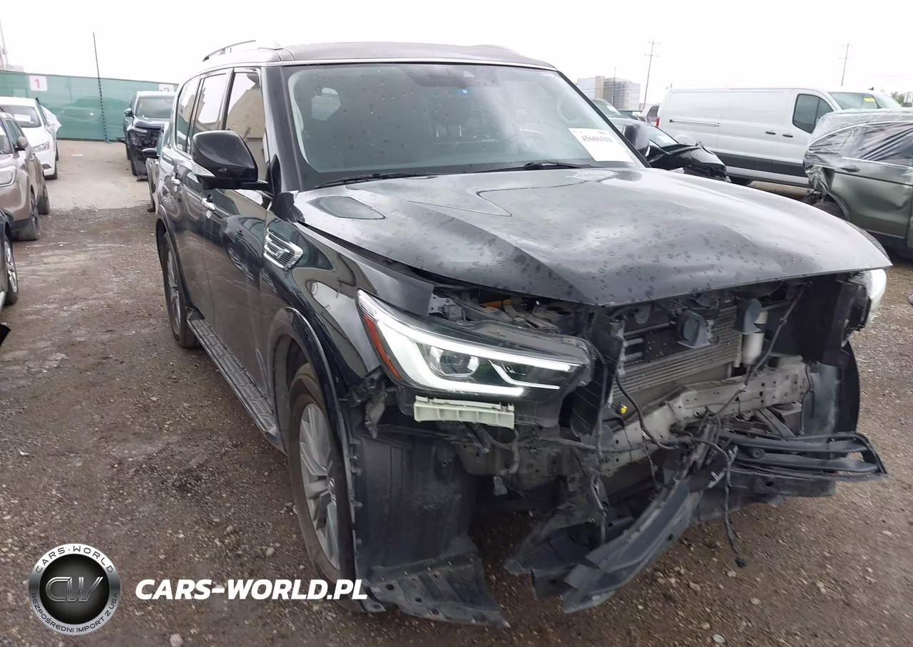 2023 Infiniti Qx80 Luxe VIN:JN8AZ2AF4P9756501 - 19