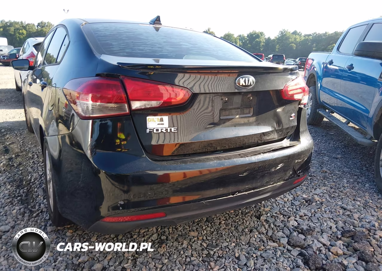 2017 Kia Forte S VIN:3KPFL4A76HE016937 - 13