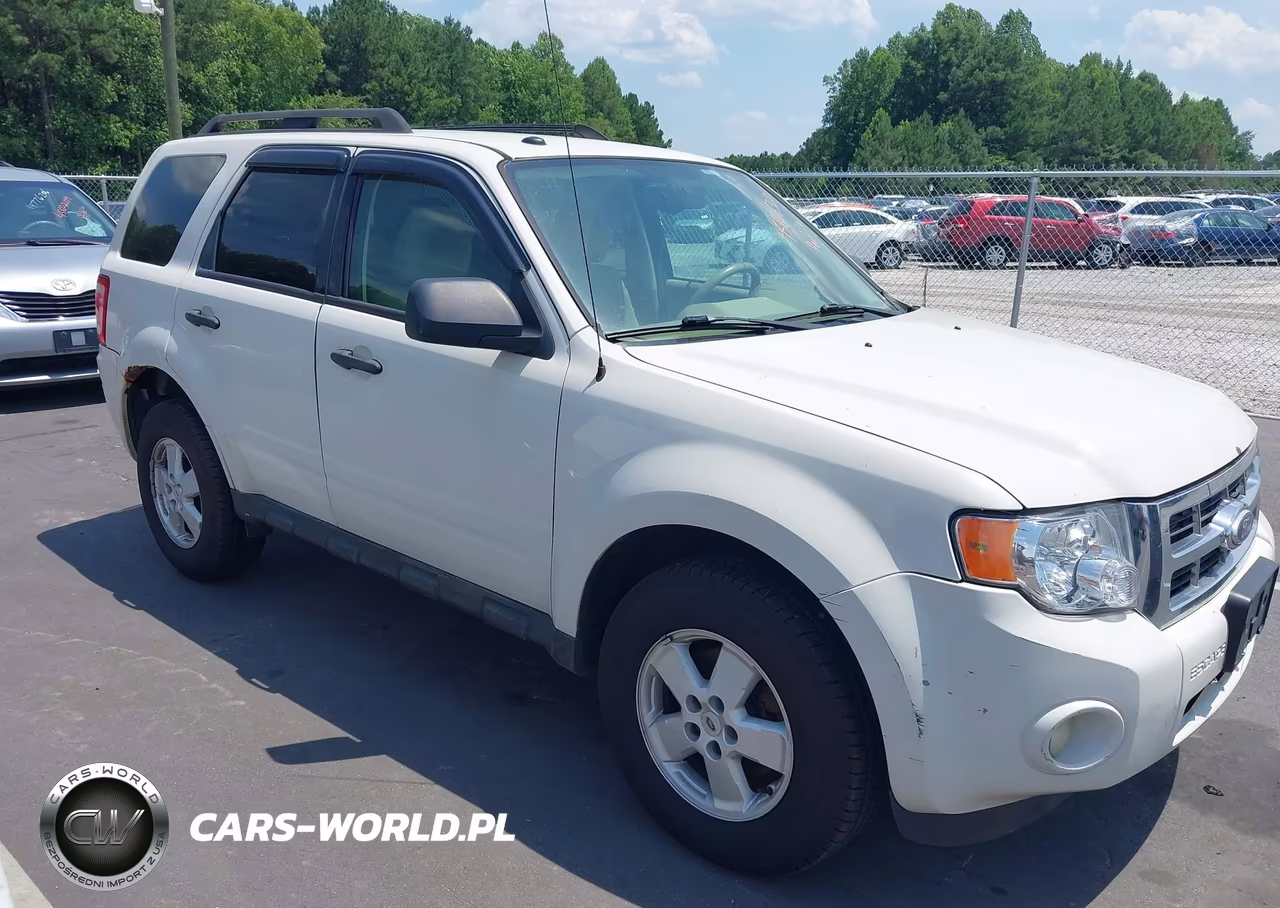 2010 Ford Escape Xlt