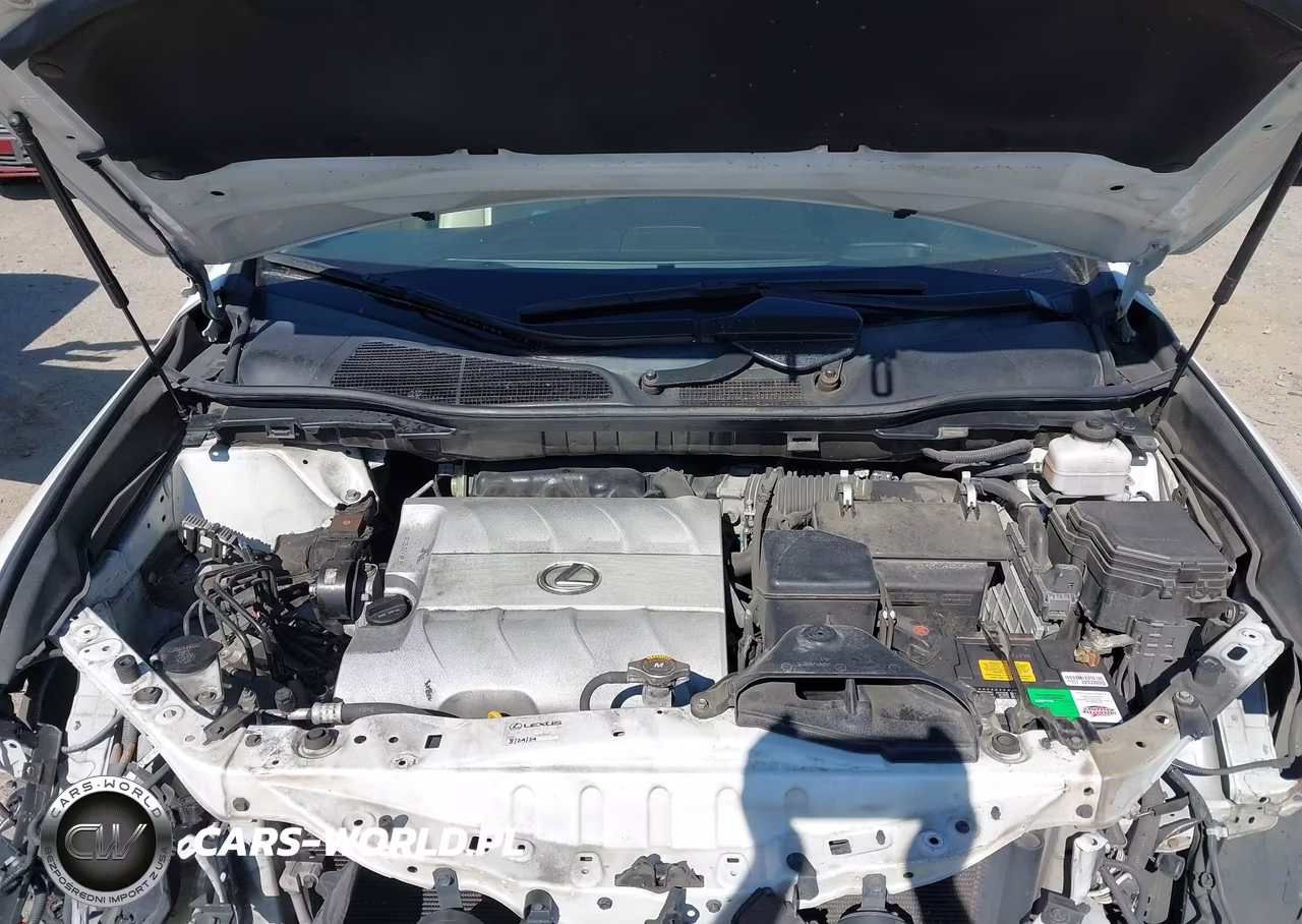 2013 Lexus Rx 350 VIN:2T2BK1BA0DC158263 - 10