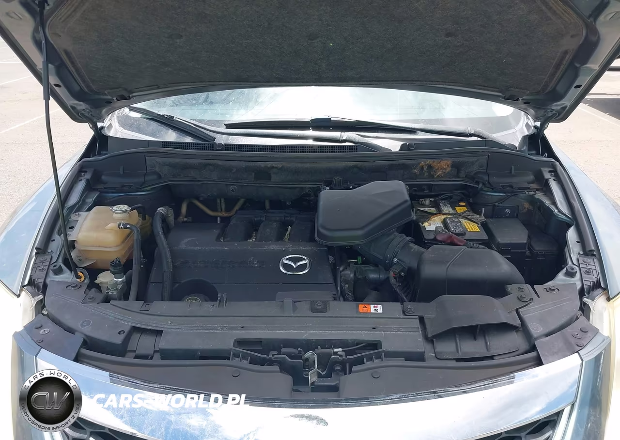 2010 Mazda Cx-9 Sport VIN:JM3TB2MA1A0217961 - 10