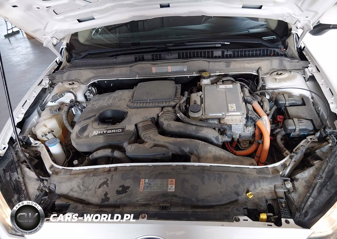 2020 Ford Fusion Hybrid Se VIN:3FA6P0LU2LR244909 - 10
