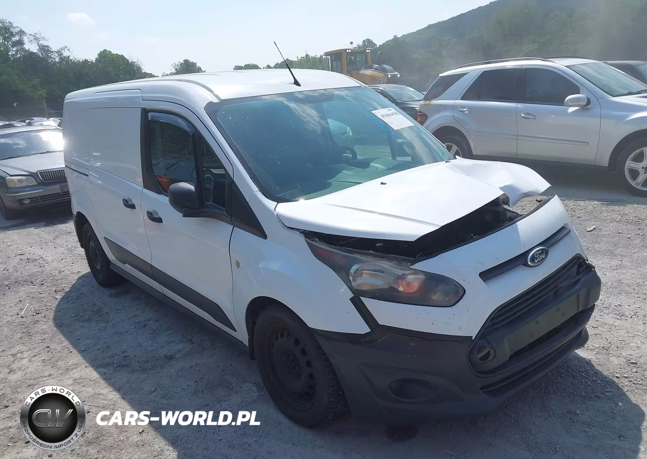2015 Ford Transit Connect Xl VIN:NM0LS7E73F1219699 - 1