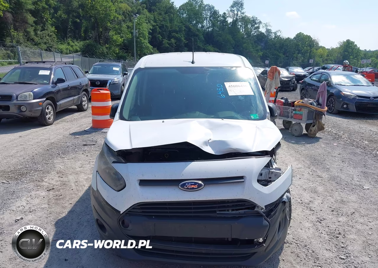 2015 Ford Transit Connect Xl VIN:NM0LS7E73F1219699 - 12