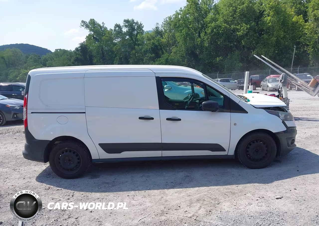 2015 Ford Transit Connect Xl VIN:NM0LS7E73F1219699 - 13