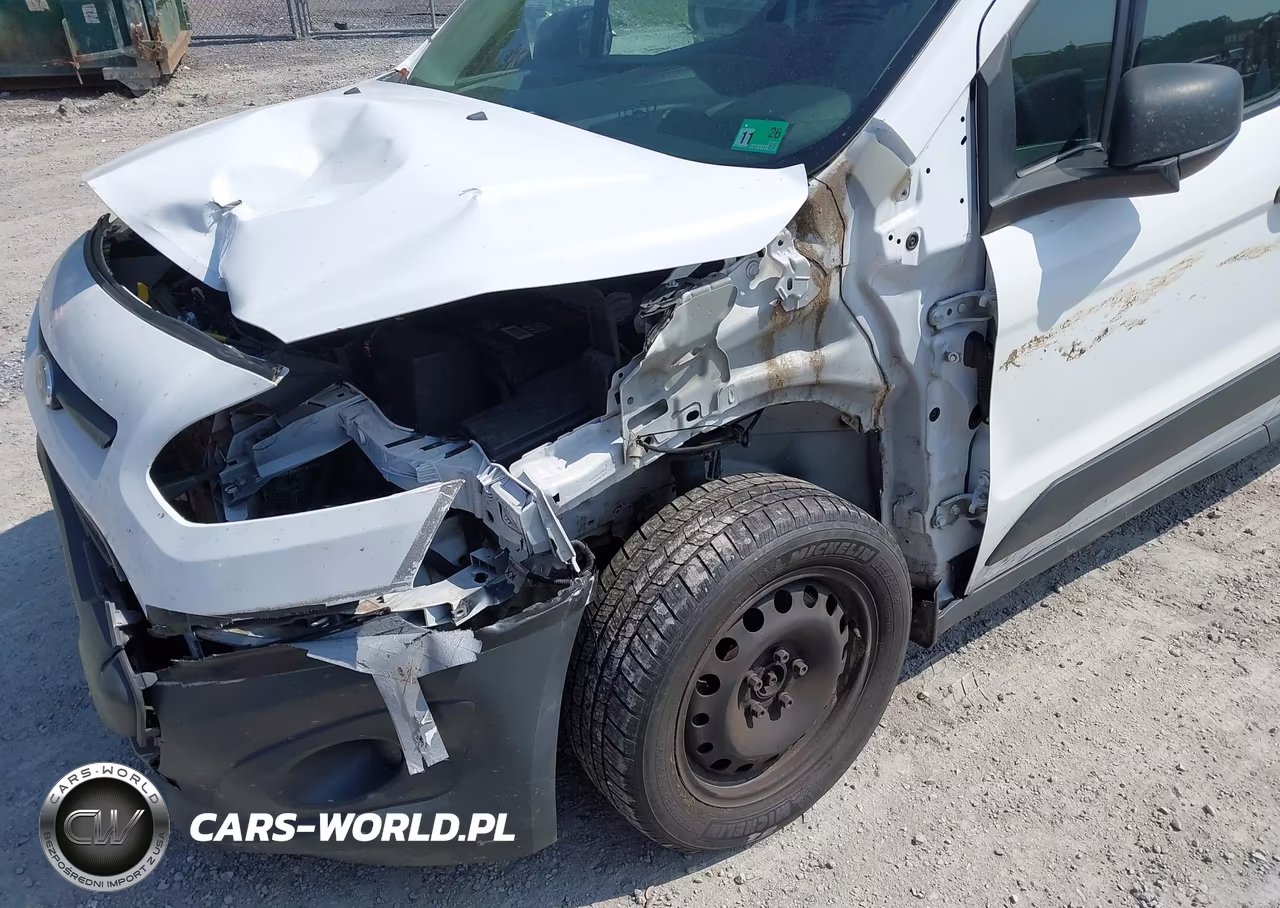 2015 Ford Transit Connect Xl VIN:NM0LS7E73F1219699 - 17