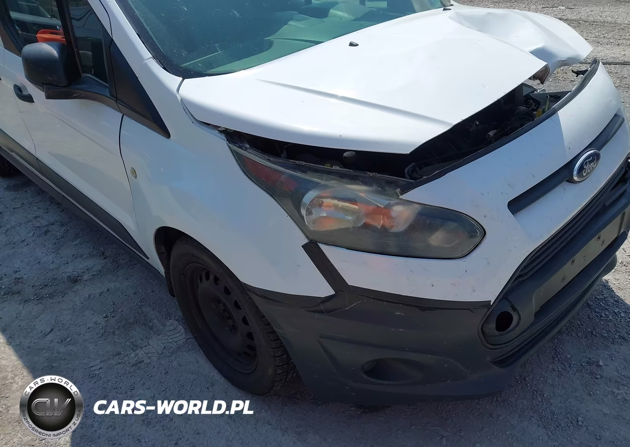 2015 Ford Transit Connect Xl VIN:NM0LS7E73F1219699 - 18