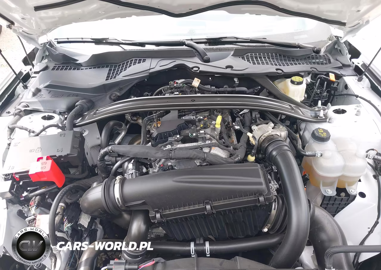 2025 Ford Mustang Ecoboost Premium VIN:1FAGP8UH3S5108763 - 10