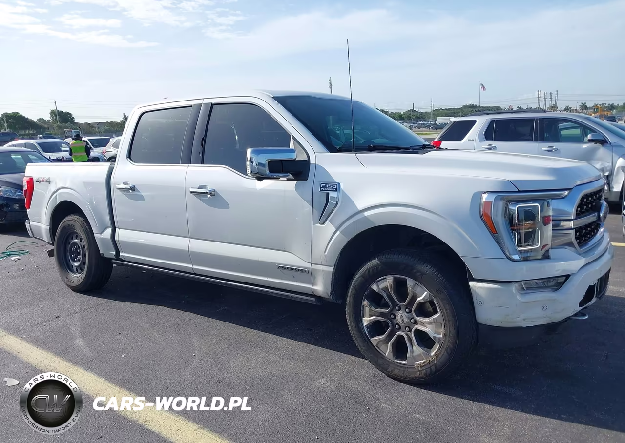 2023 Ford F-150 Platinum VIN:1FTFW1EDXPFC74209 - 13