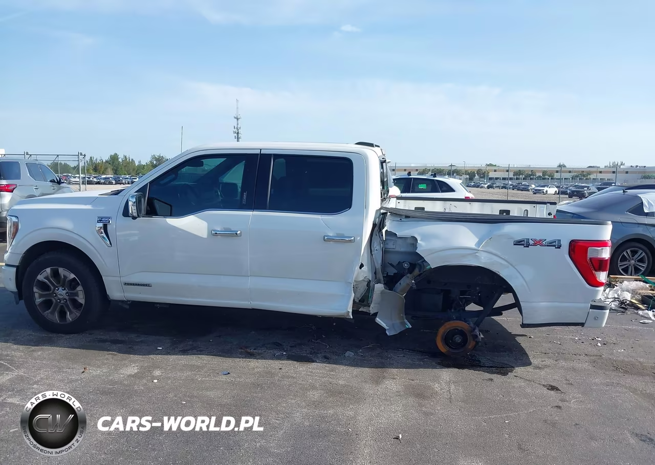 2023 Ford F-150 Platinum VIN:1FTFW1EDXPFC74209 - 14