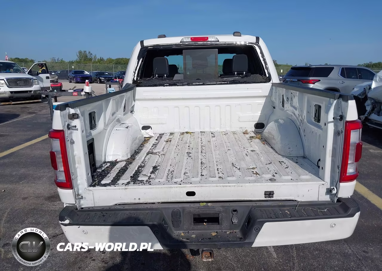 2023 Ford F-150 Platinum VIN:1FTFW1EDXPFC74209 - 16