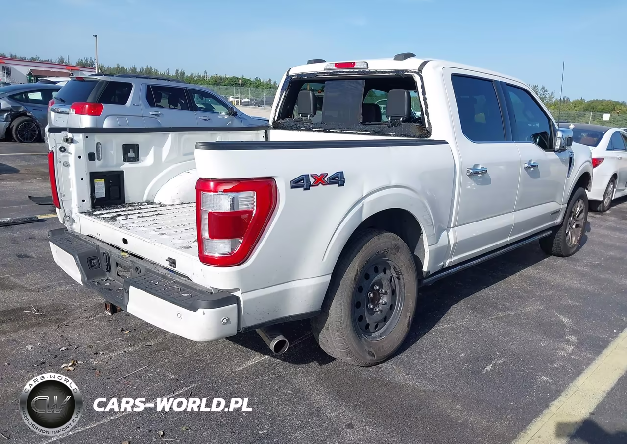 2023 Ford F-150 Platinum VIN:1FTFW1EDXPFC74209 - 4