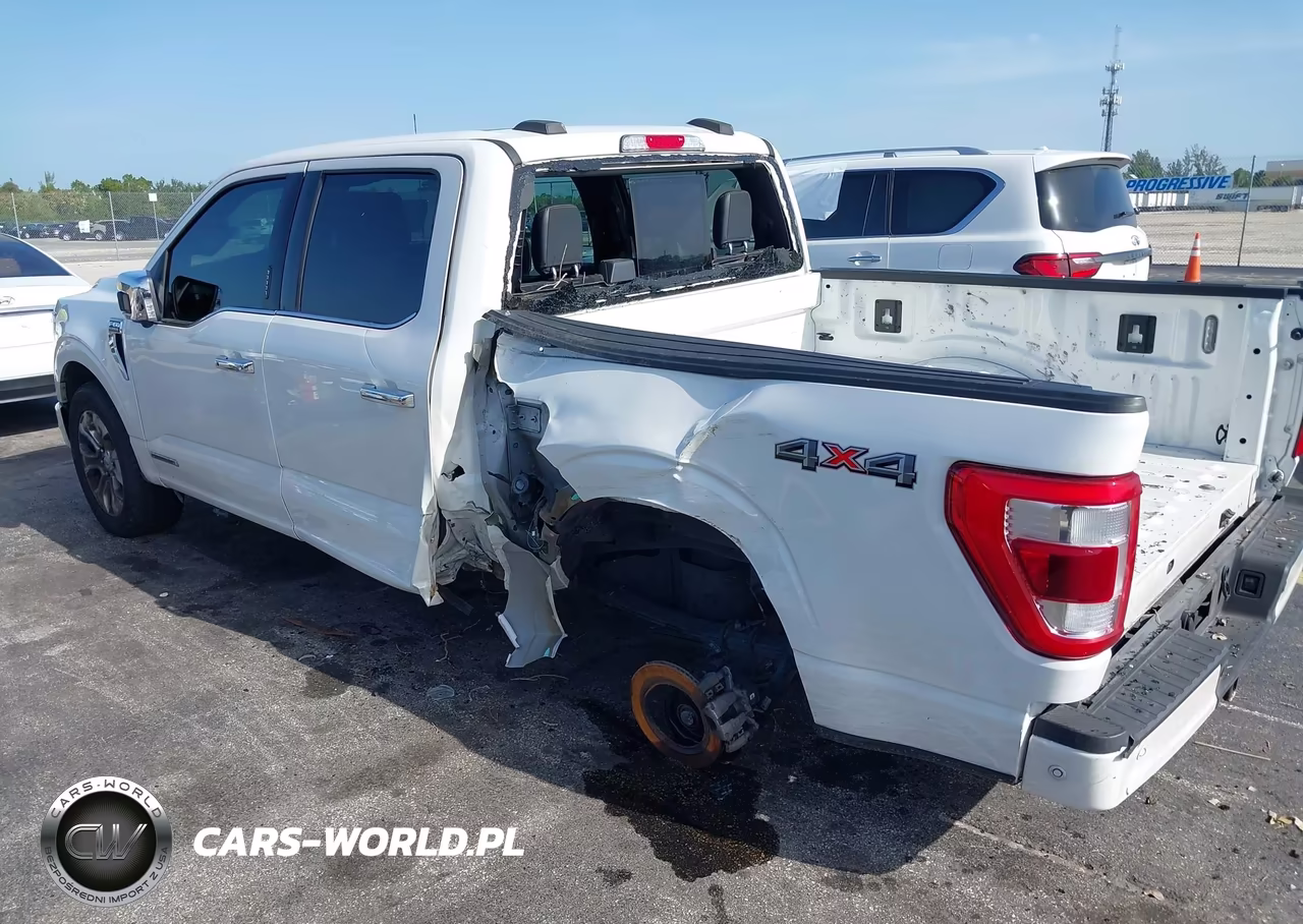 2023 Ford F-150 Platinum VIN:1FTFW1EDXPFC74209 - 6