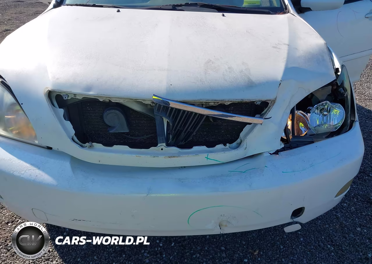 2005 Lexus Rx 330 VIN:2T2GA31U95C019962 - 14