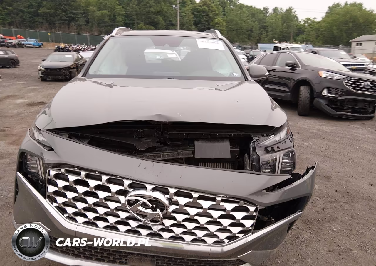 2023 Hyundai Santa Fe Limited VIN:5NMS4DAL4PH587066 - 12