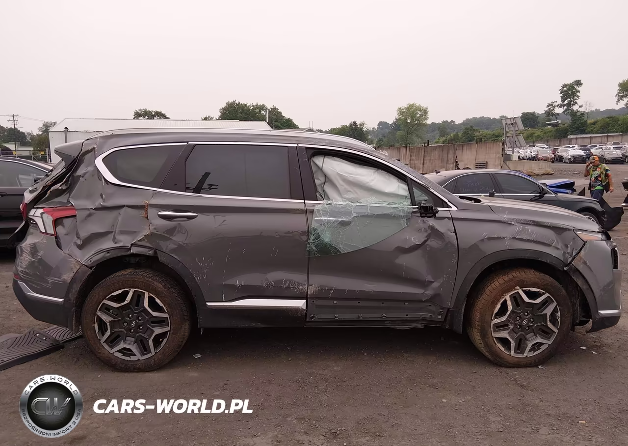 2023 Hyundai Santa Fe Limited VIN:5NMS4DAL4PH587066 - 13