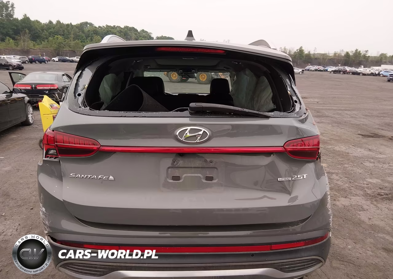 2023 Hyundai Santa Fe Limited VIN:5NMS4DAL4PH587066 - 16