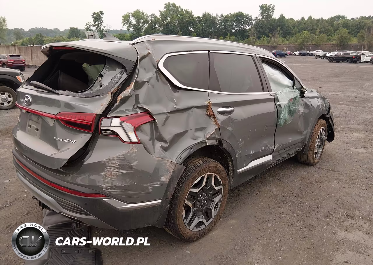 2023 Hyundai Santa Fe Limited VIN:5NMS4DAL4PH587066 - 4