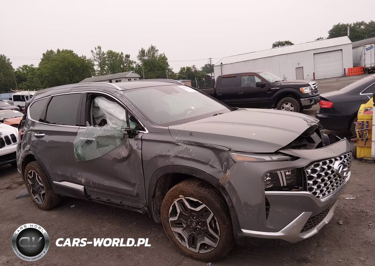 2023 Hyundai Santa Fe Limited VIN:5NMS4DAL4PH587066 - 6