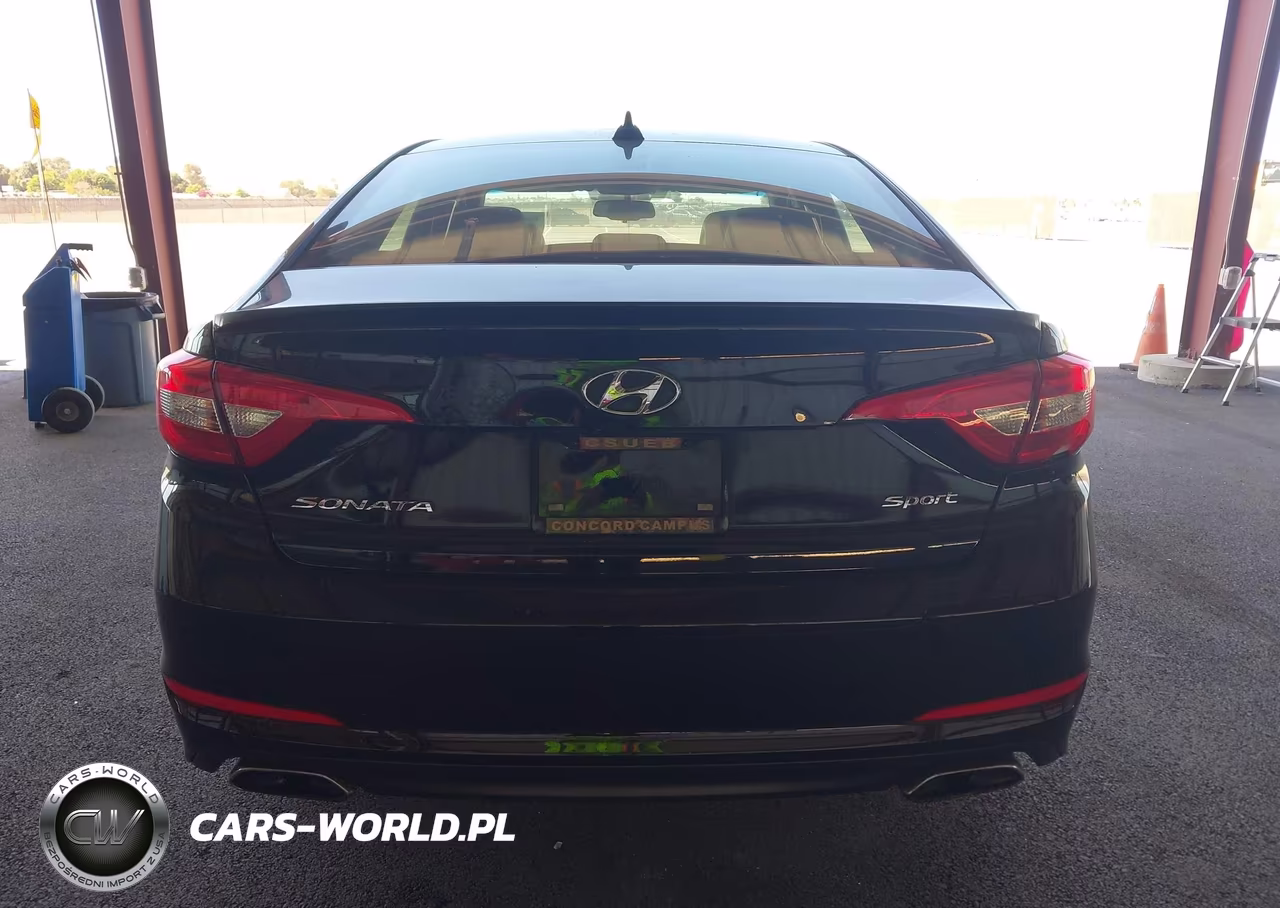 2016 Hyundai Sonata Sport VIN:5NPE34AF8GH287107 - 16