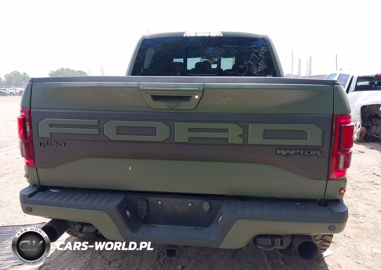 2019 Ford F-150 Raptor VIN:1FTFW1RG9KFB89200 - 17