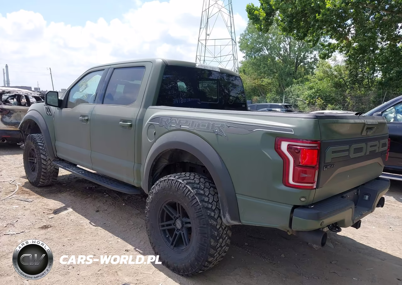 2019 Ford F-150 Raptor VIN:1FTFW1RG9KFB89200 - 3