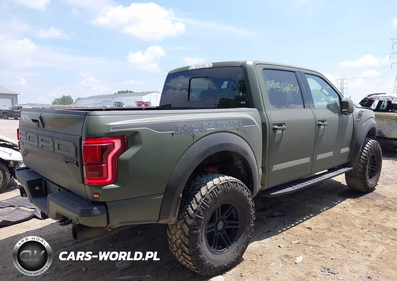 2019 Ford F-150 Raptor VIN:1FTFW1RG9KFB89200 - 4
