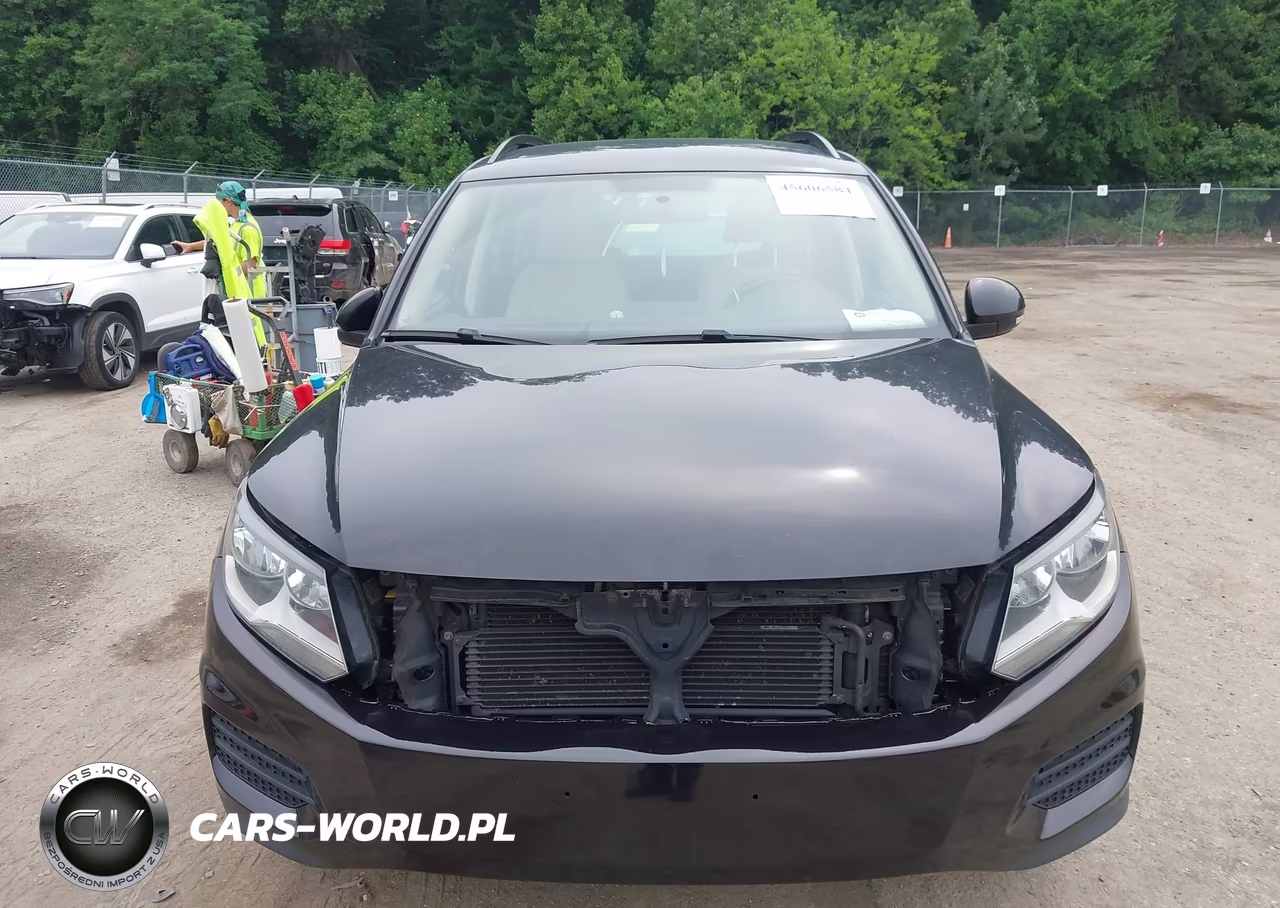 2015 Volkswagen Tiguan Se VIN:WVGBV7AX1FW503486 - 13