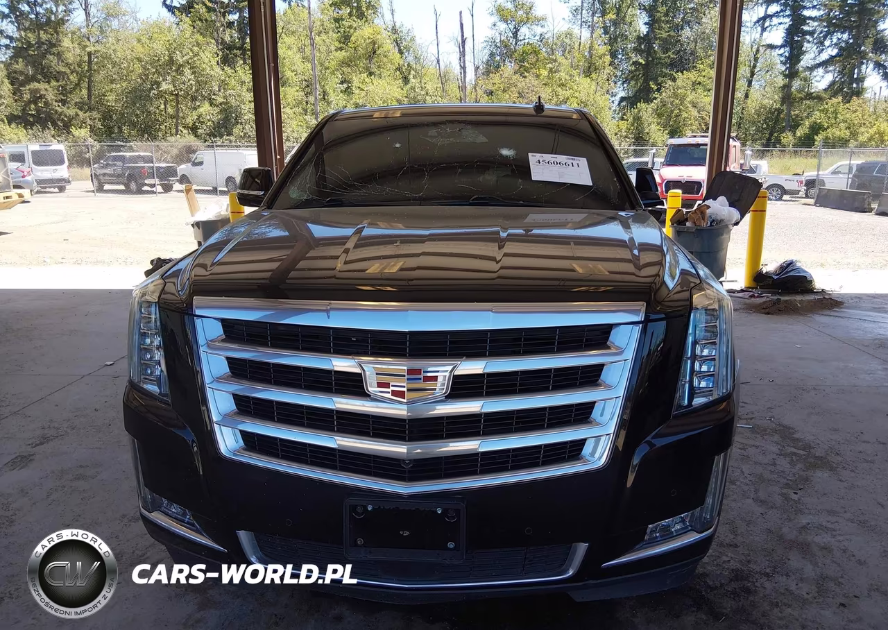 2018 Cadillac Escalade Premium Luxury VIN:1GYS4CKJ5JR357508 - 13
