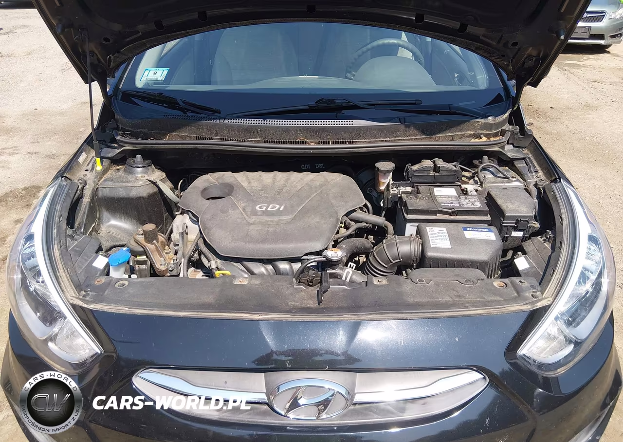 2016 Hyundai Accent Se VIN:KMHCT5AE7GU290442 - 10
