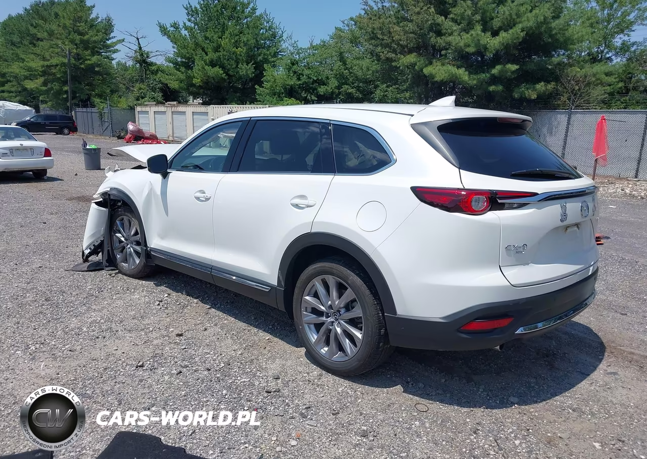 2021 Mazda Cx-9 Grand Touring VIN:JM3TCBDY8M0541293 - 3