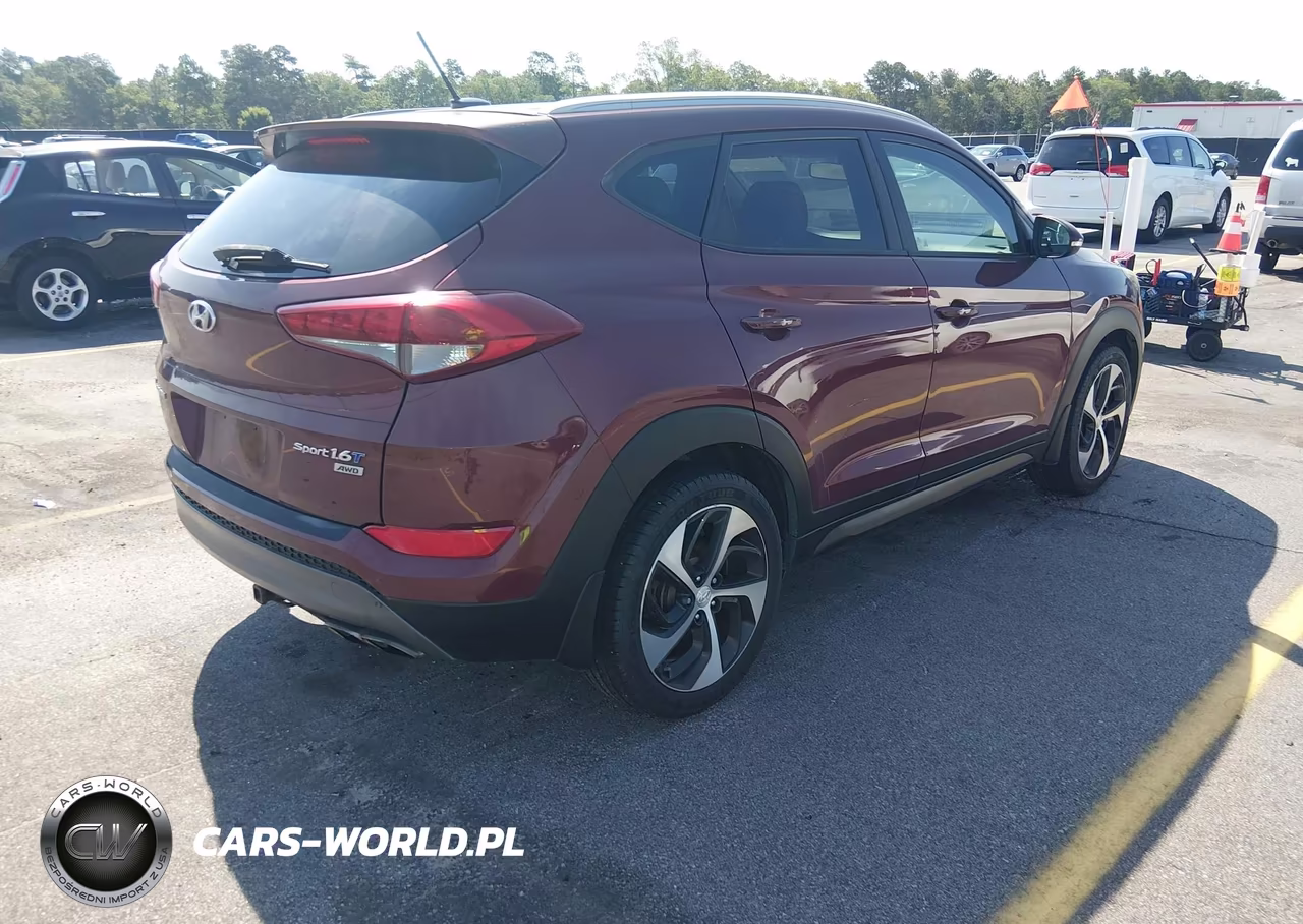 2016 Hyundai Tucson Sport VIN:KM8J3CA23GU080647 - 4
