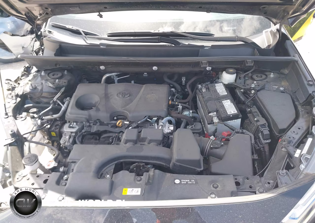2024 Toyota Rav4 Xle VIN:2T3W1RFV4RW334314 - 10