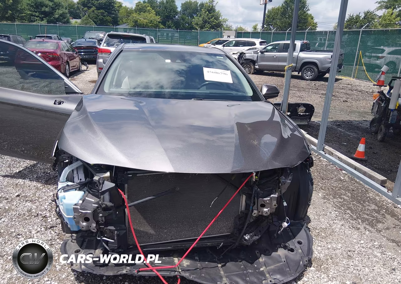 2019 Toyota Camry Se VIN:4T1B11HK4KU228897 - 12