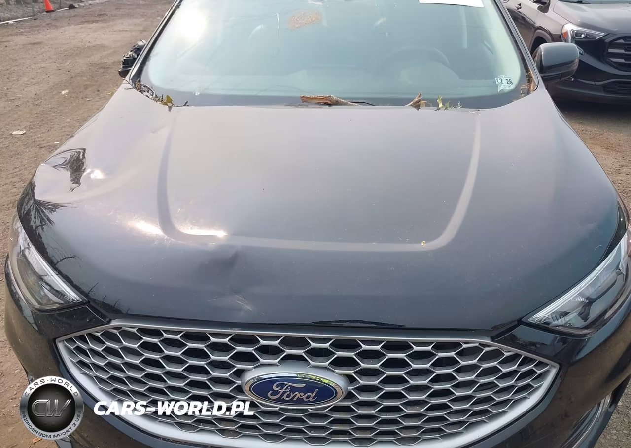 2024 Ford Edge Sel VIN:2FMPK4J90RBA05865 - 10