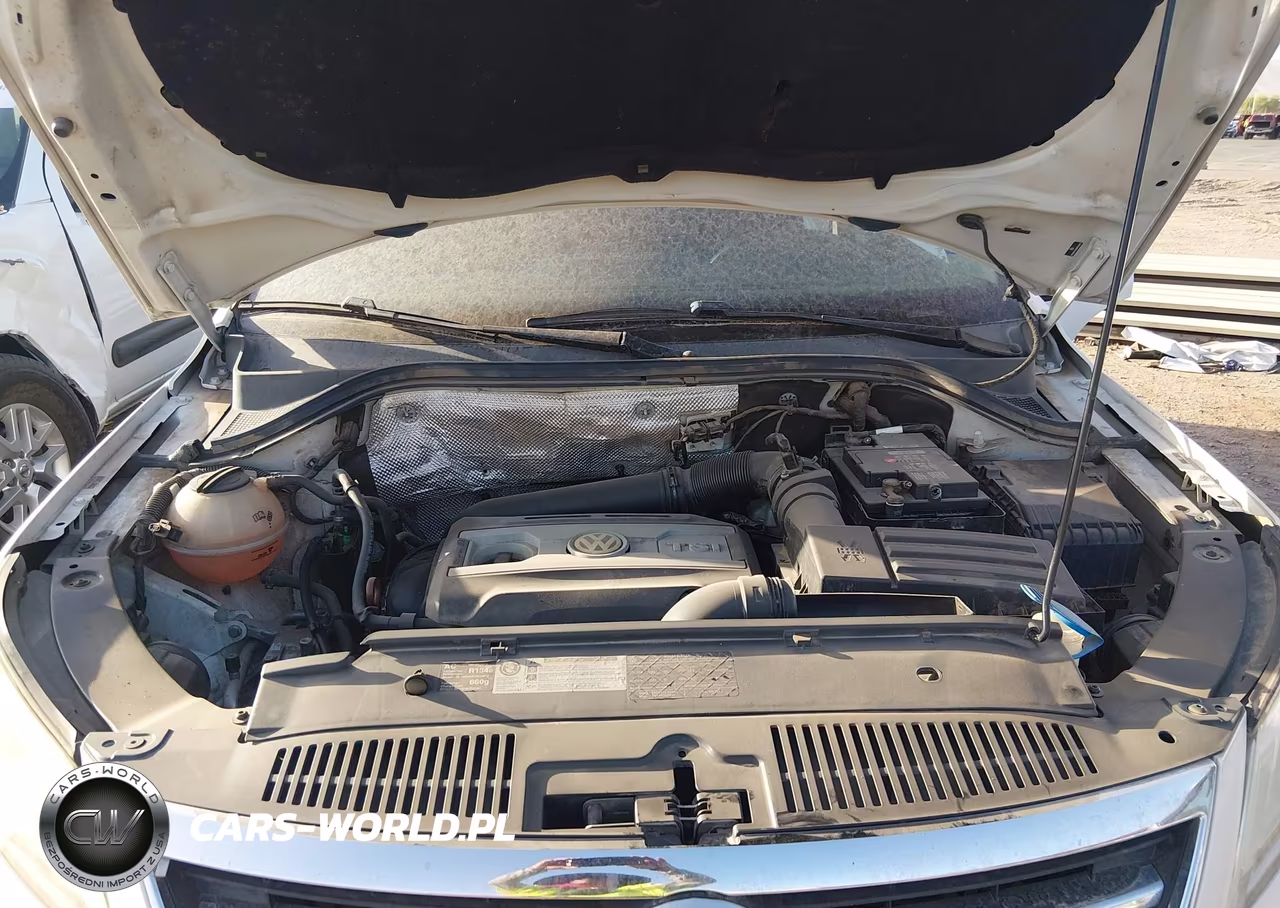 2011 Volkswagen Tiguan S VIN:WVGAV7AX0BW534427 - 10
