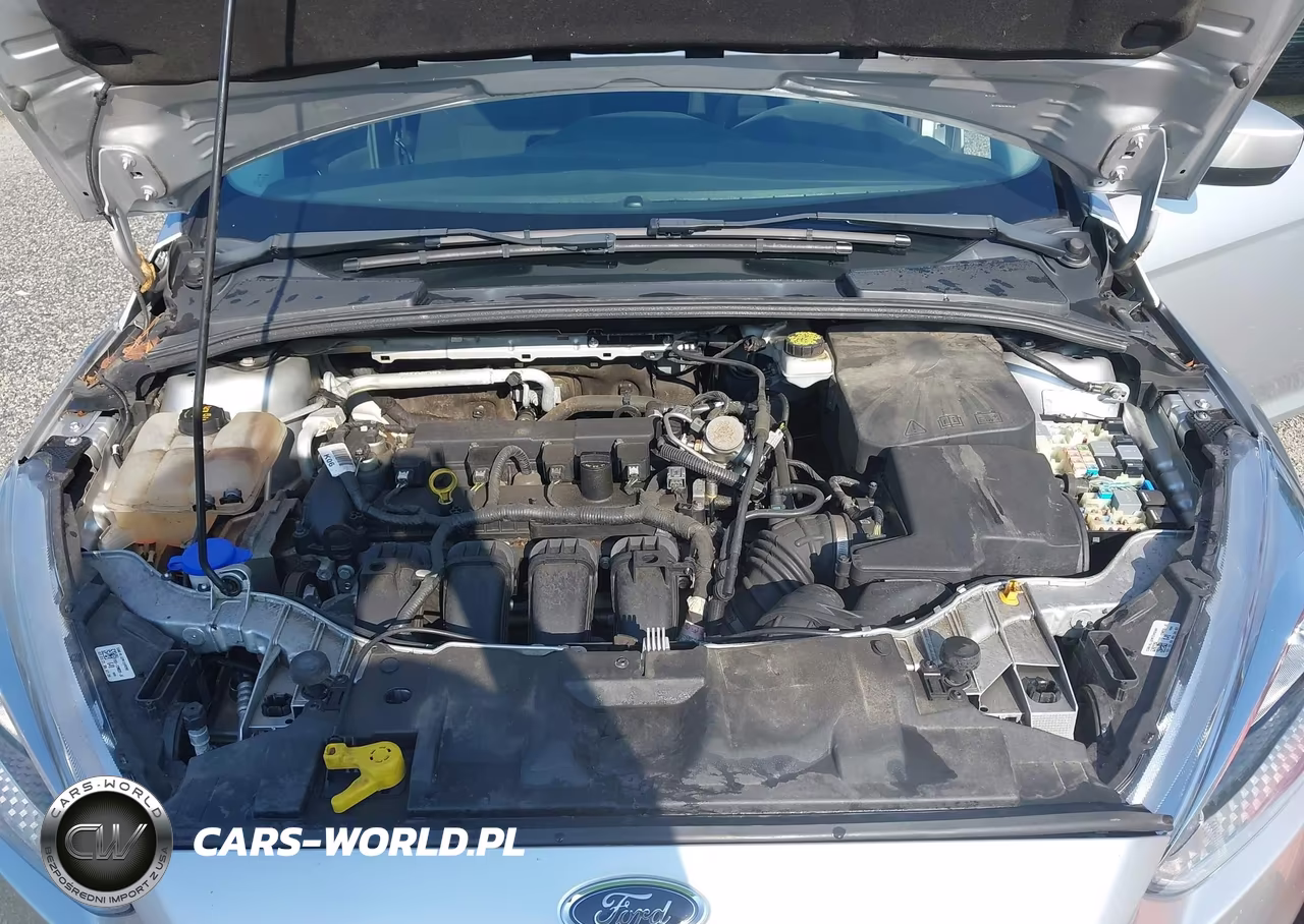 2018 Ford Focus Se VIN:1FADP3K29JL301160 - 10