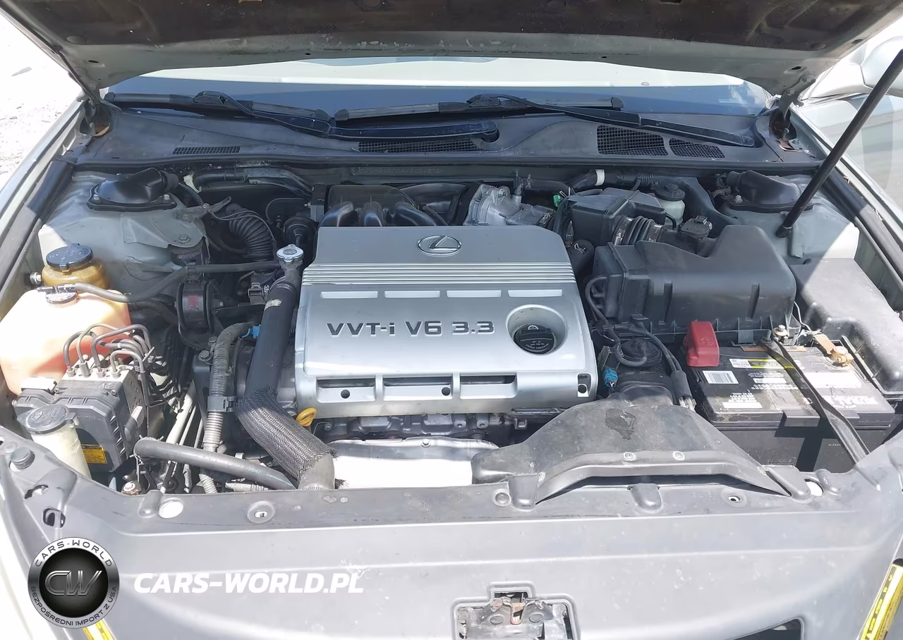 2004 Lexus Es 330 VIN:JTHBA30G645004372 - 10