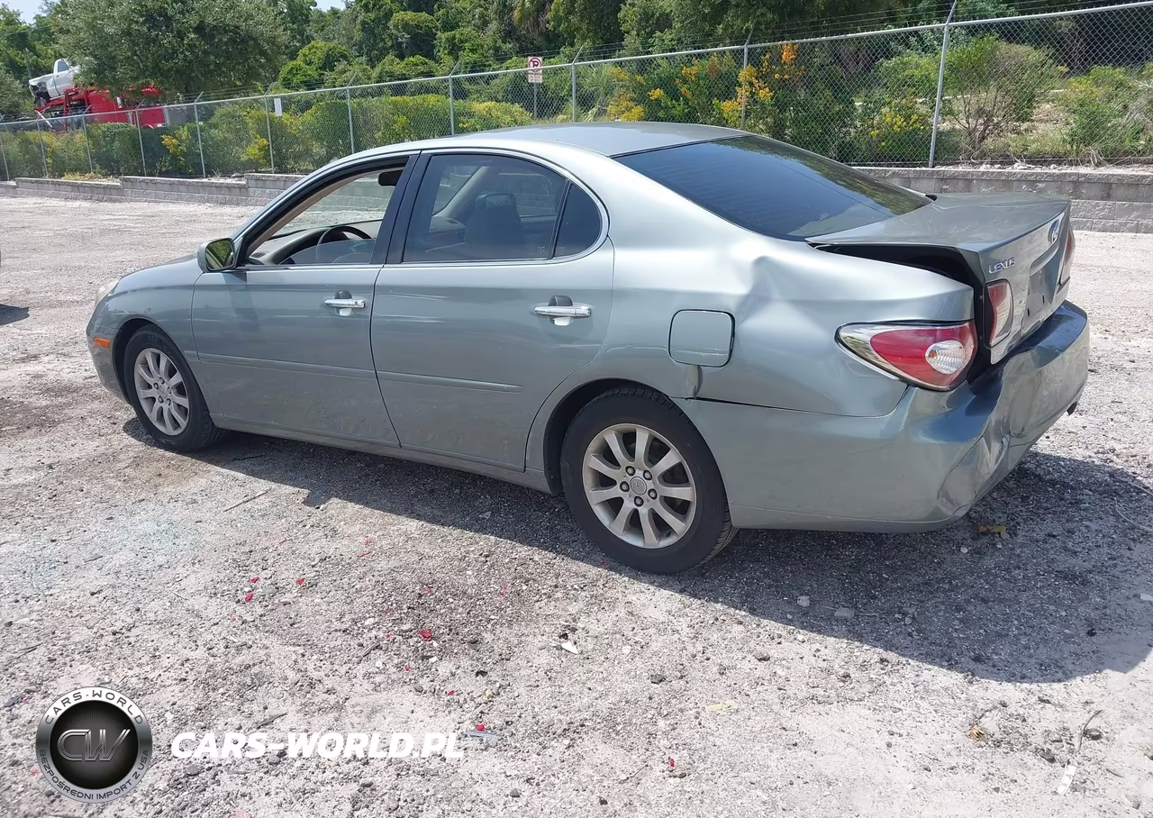 2004 Lexus Es 330 VIN:JTHBA30G645004372 - 3