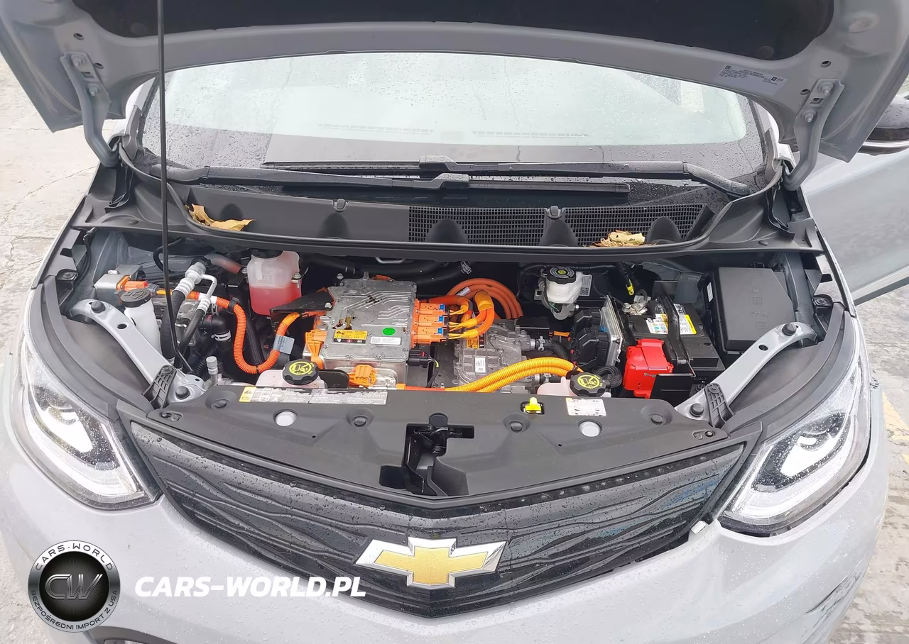 2020 Chevrolet Bolt Ev Fwd Premier VIN:1G1FZ6S04L4113441 - 10